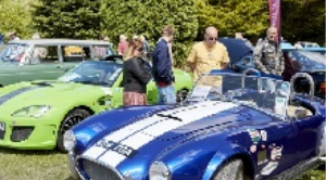 Donington Historic Festival Logo